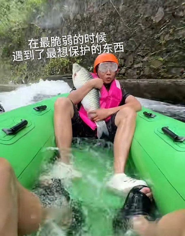 from 平壤卫视