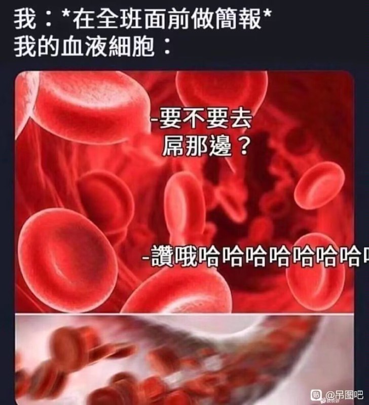 from 迷你沙雕仓库