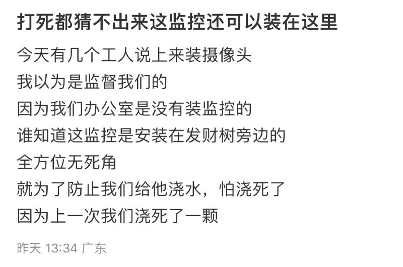 著名商战：弄死对家公司发财树！ 老板：摸鱼可以，别断我财运