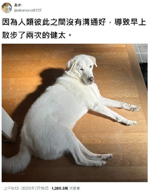 from 什麼都來點 via DECADE