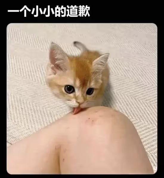 via 7号沙雕网友
