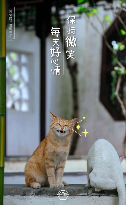 #苏州园林的猫  苏州防疫宣传，掌握了流量密码#苏州园林的猫  苏州防疫宣传，掌握了流量密码