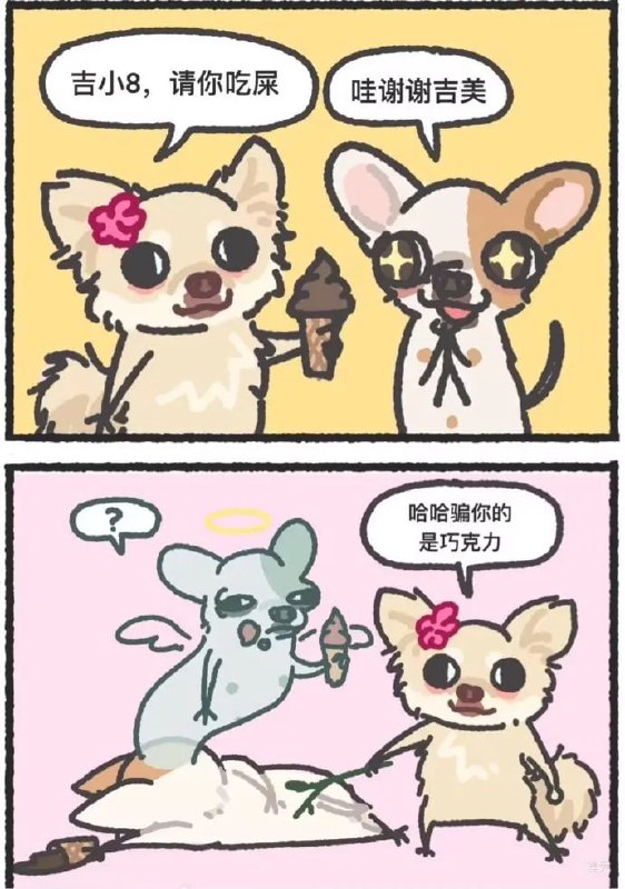 from 平壤卫视