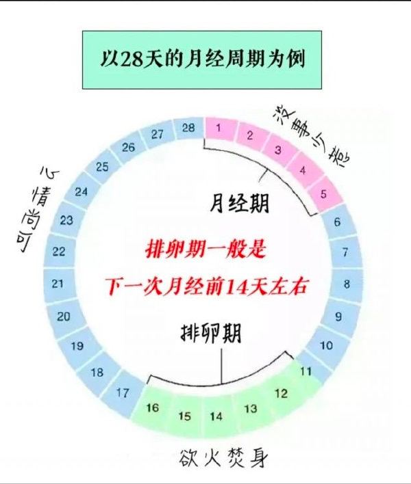 1.它快来了，心情不好