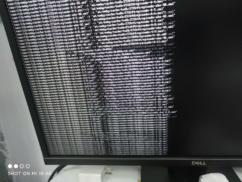 本群emby服务器由于更新NVIDIA驱动导致爆炸 正在重装
