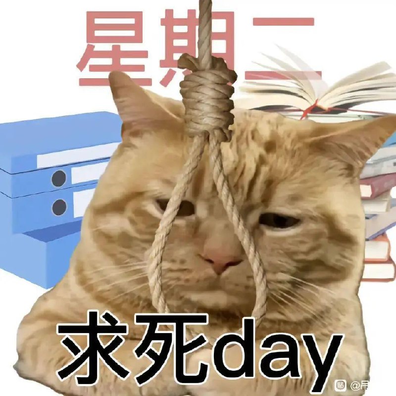 via 时月via 时月