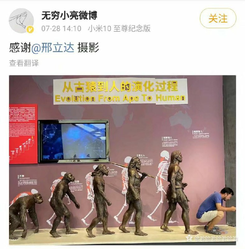 他又变回去了 #藏狐届网红 — 小亮from BLACKkilito