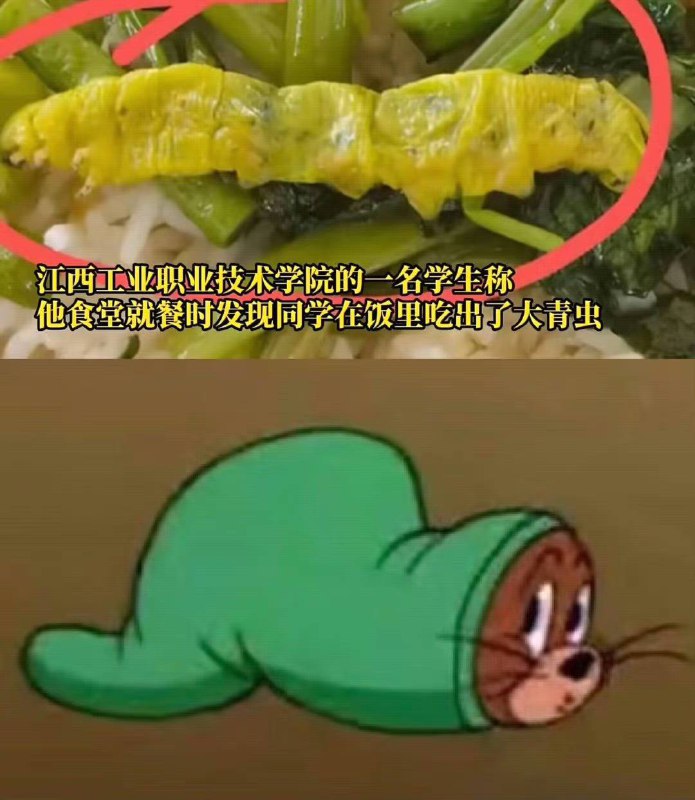 from 平壤卫视