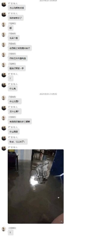 首先 一个飞踢勒住鳄鱼脖子，这时鳄鱼会开始死亡翻滚，你只要坚持住 等鳄鱼疲惫，一个滑铲就可以处决鳄鱼via efsg