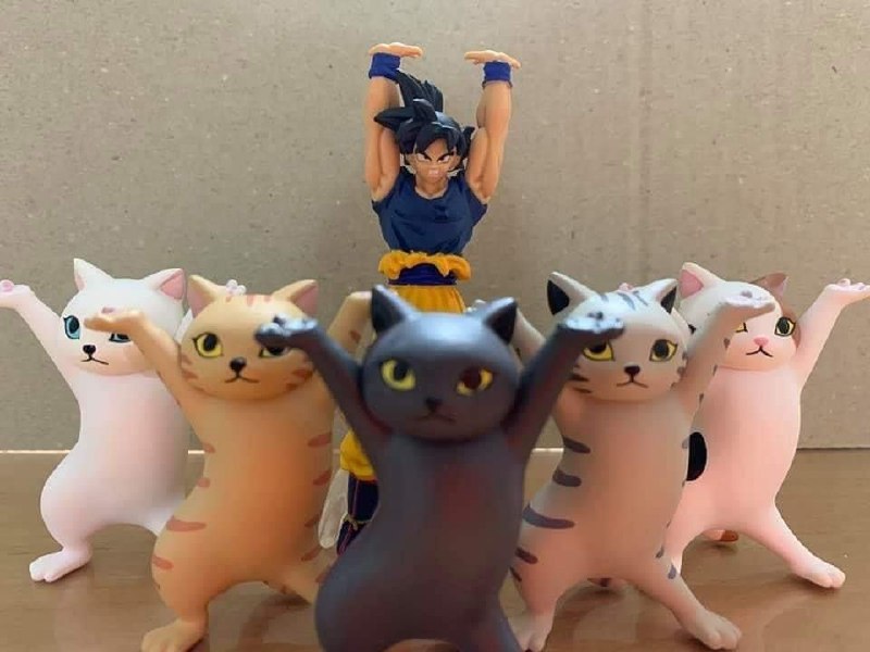 #投稿#投稿