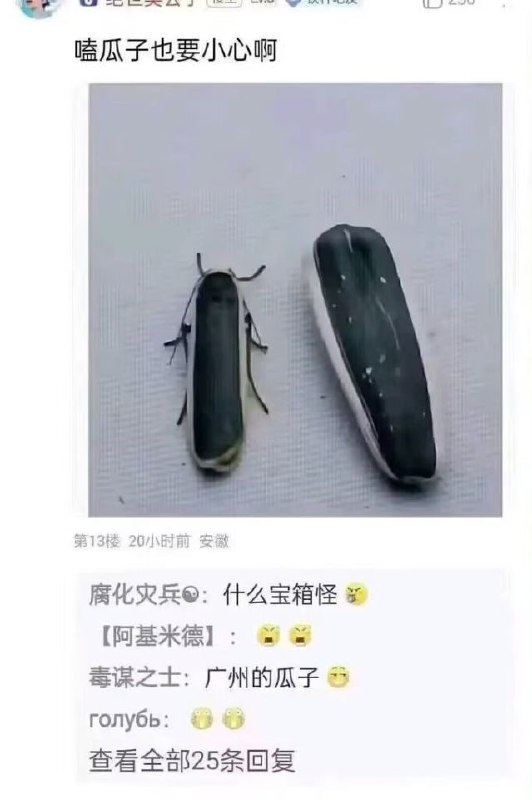 via cy