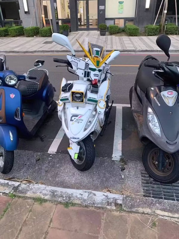 🤩from 平壤卫视