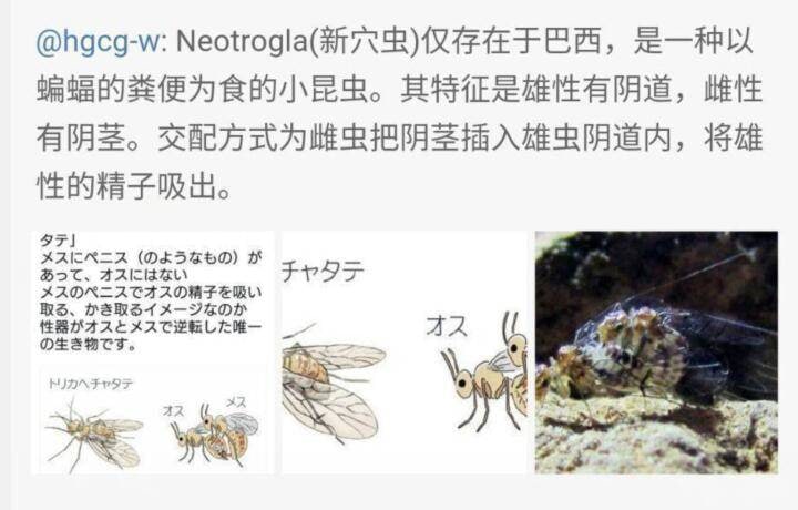 奇怪的xp增加了