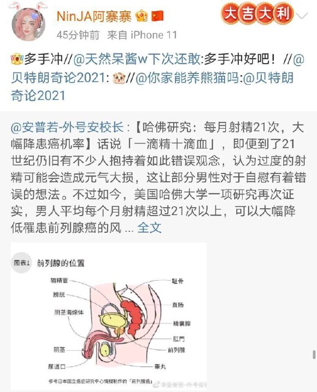 nsfw二次编辑：图一乐，没必要当真