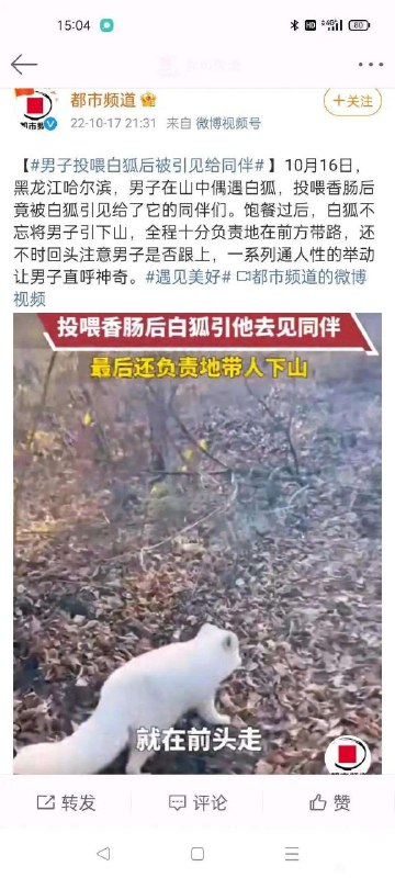 from 心惊报👀 via efsg