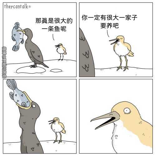 from 煎蛋无聊图