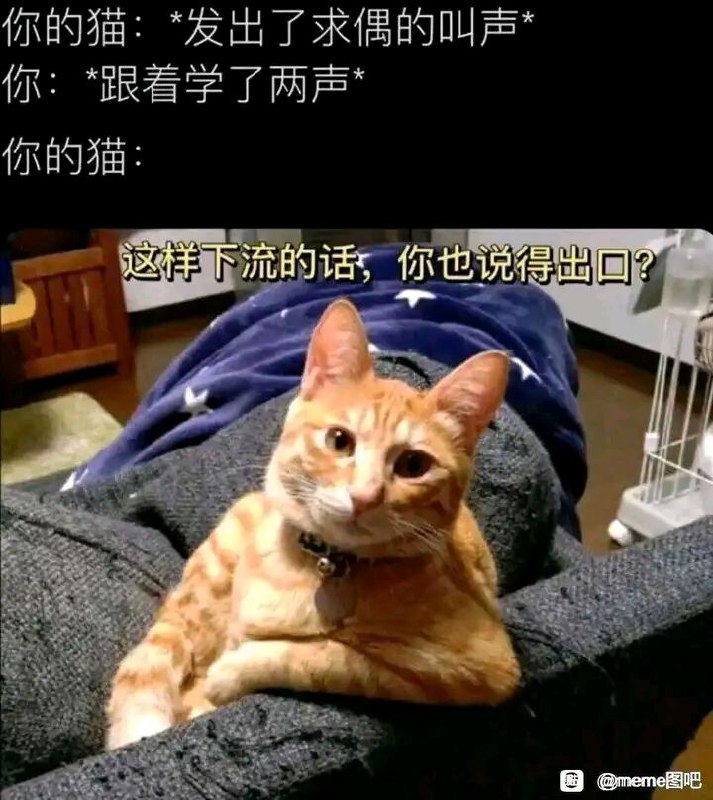 via 鸭累鸭累