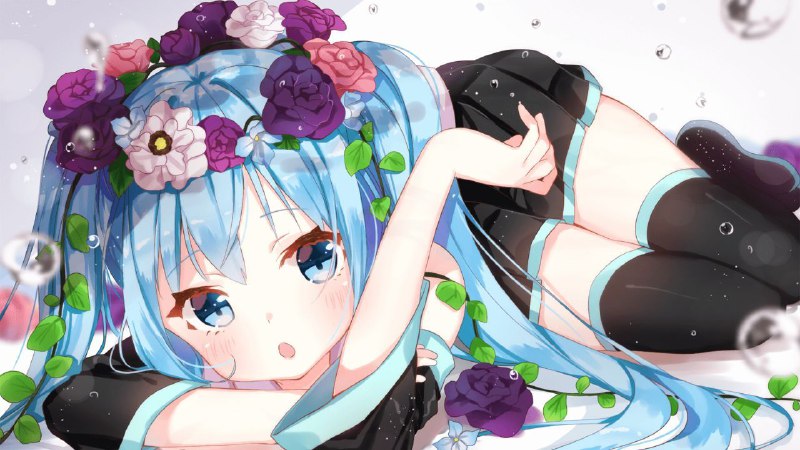 今天是miku日，来点mikuvia 鲨鱼辣椒今天是miku日，来点mikuvia 鲨鱼辣椒
