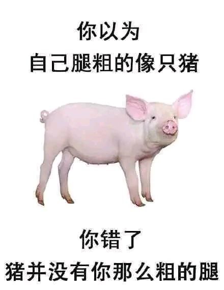 你以为……………你以为……………