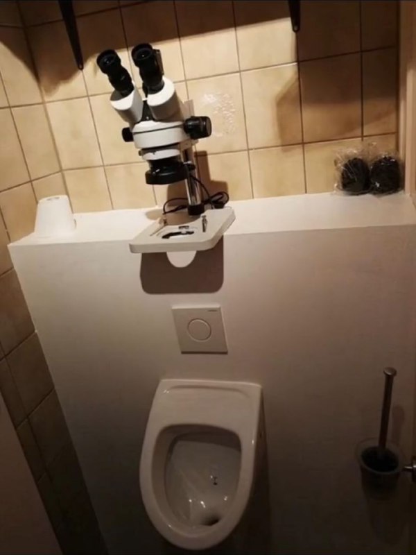 伤害性不高，侮辱性极强