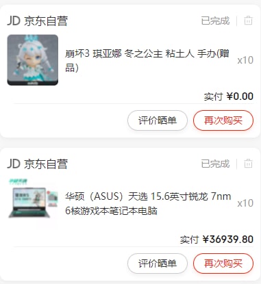 虽然说作为赠品的天选姬手办没货了但是你不用拿这玩意来糊弄我吧？