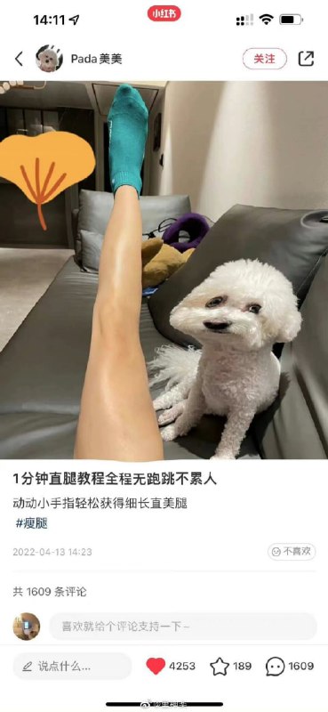 我的表情跟狗一样