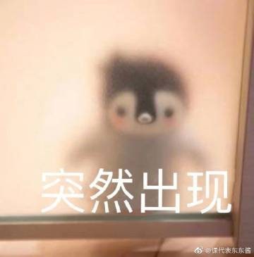 大家都养过什么宠物啊 给大伙瞧瞧