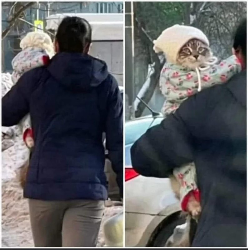 from 平壤卫视 via 呀