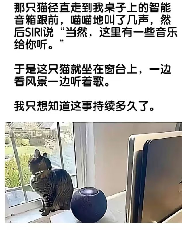 via 7号沙雕网友