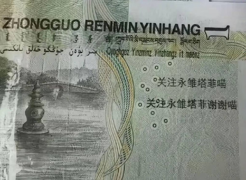 via 犯罪嫌疑人张某