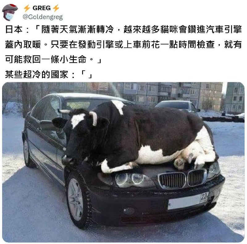 from 什麼都來點 via DECADE