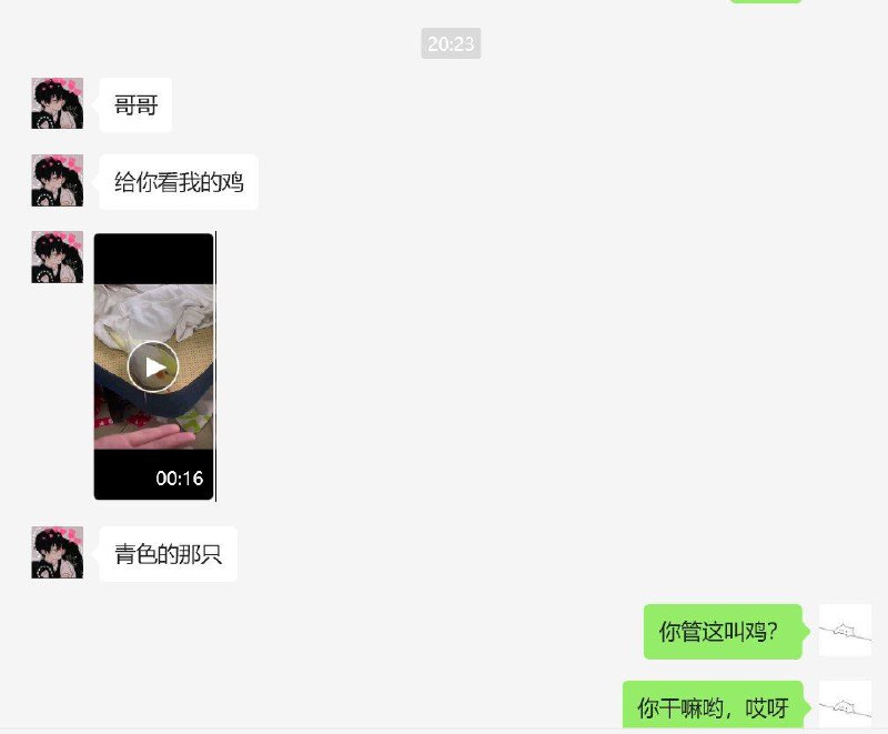表妹非得给我看她养的小黄鸡