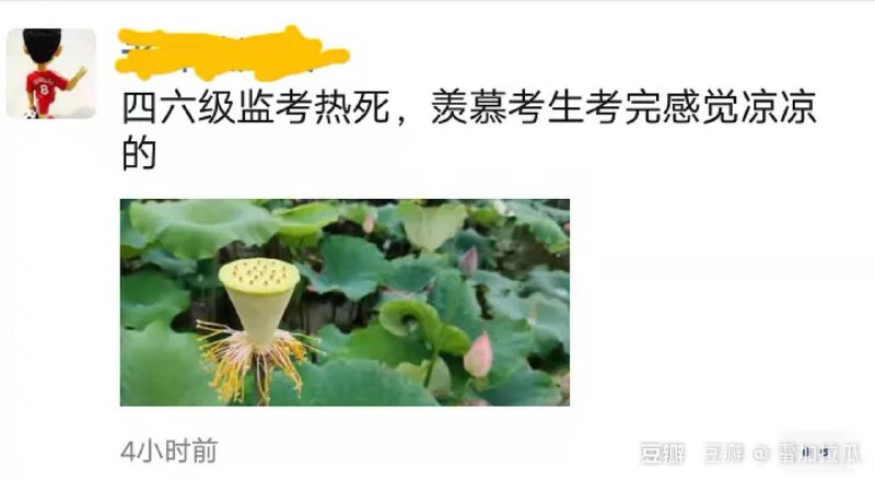 via 维他奶