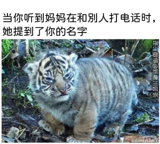via 每天只睡23h