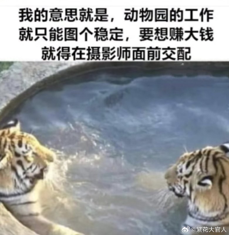 from 煎蛋无聊图