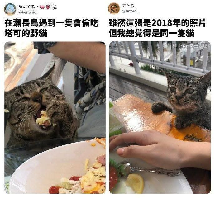 from 什麼都來點 via DECADE