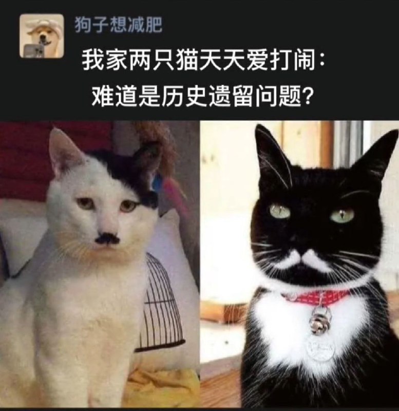 圣 杯 战 争via efsg