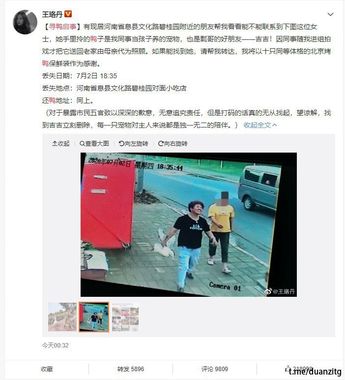 找鸭子