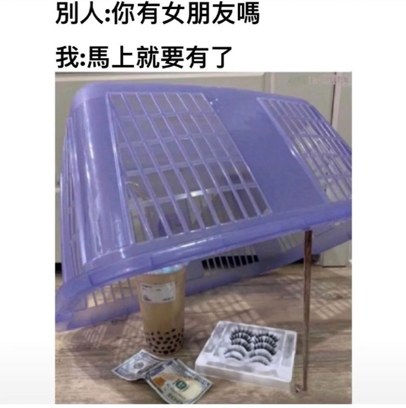 from 什么都能放