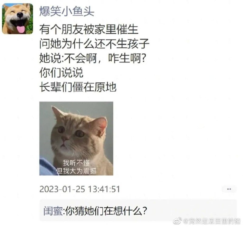 from 平壤卫视