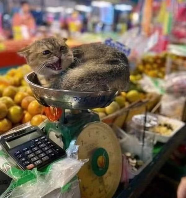 via 每天只睡23hvia 每天只睡23h