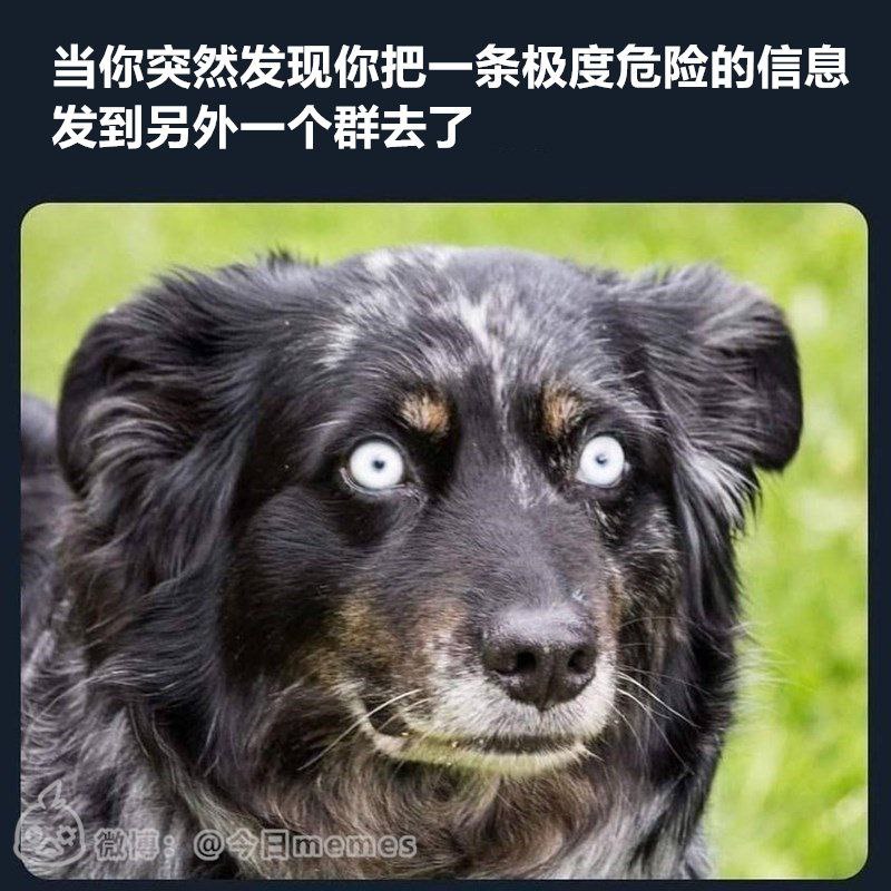from 黏黏糊糊磨磨唧唧叽叽喳喳