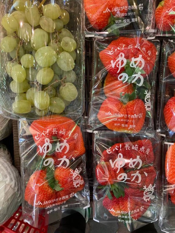 日本核能草莓🍓via シュンコウ 陳日本核能草莓🍓via シュンコウ 陳