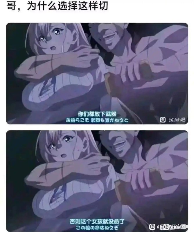 via 犯罪嫌疑人张某