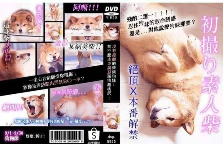 from 什么都能放