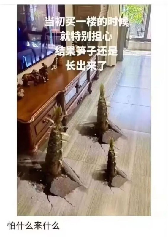 via 匿名from 心惊报 炼Cu作坊