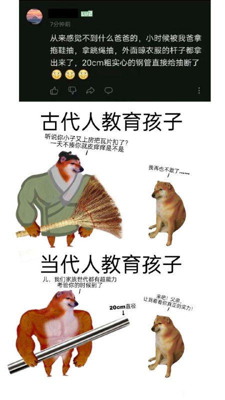 via efsg