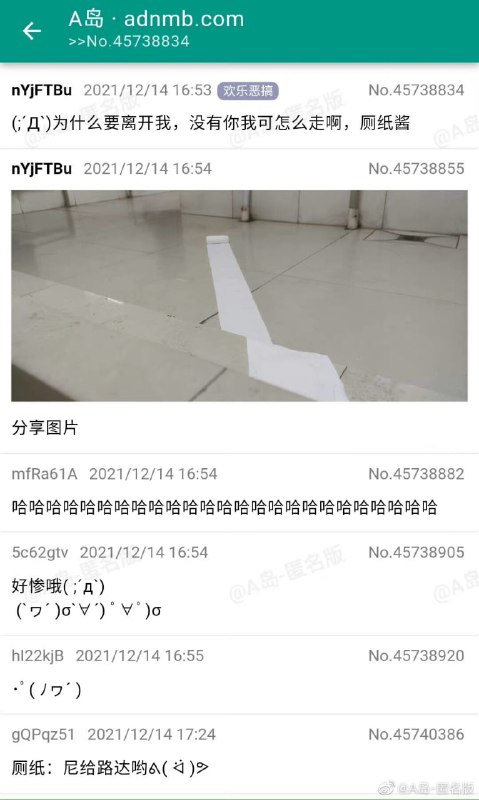 from 美图与沙雕