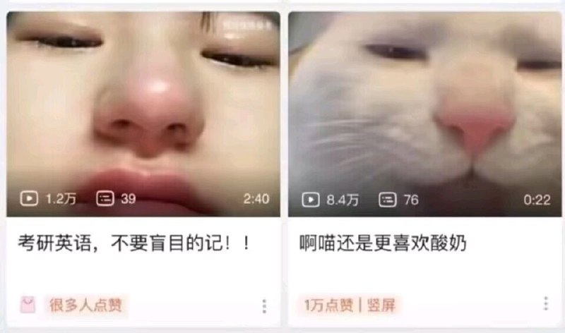 😑from 平壤卫视