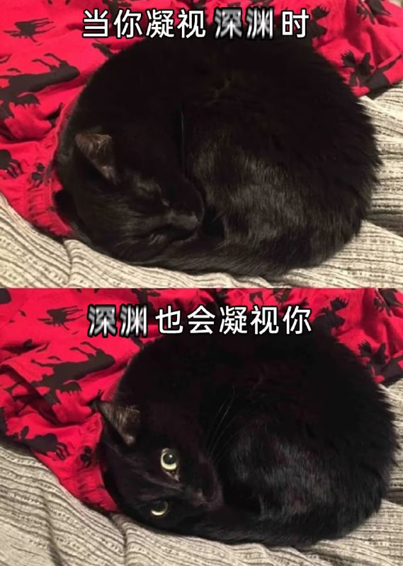 via 6号沙雕网友